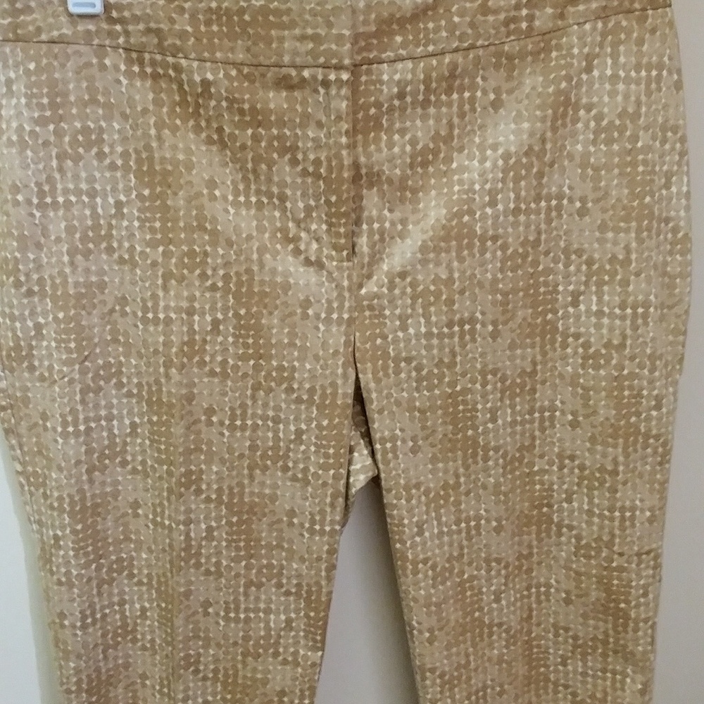 Chicos Skimmer Pants